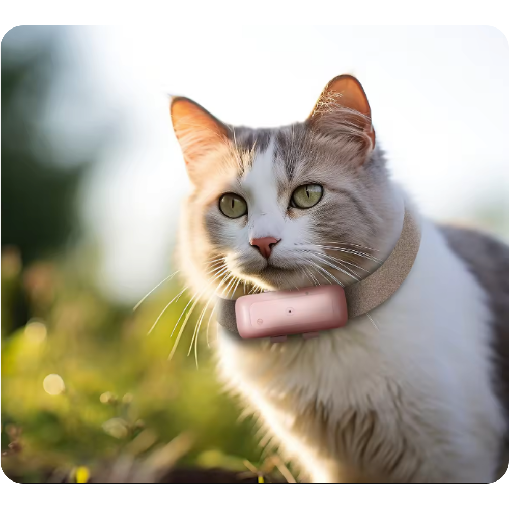 66131ec884d3bb042d9b5c9c99a6be78