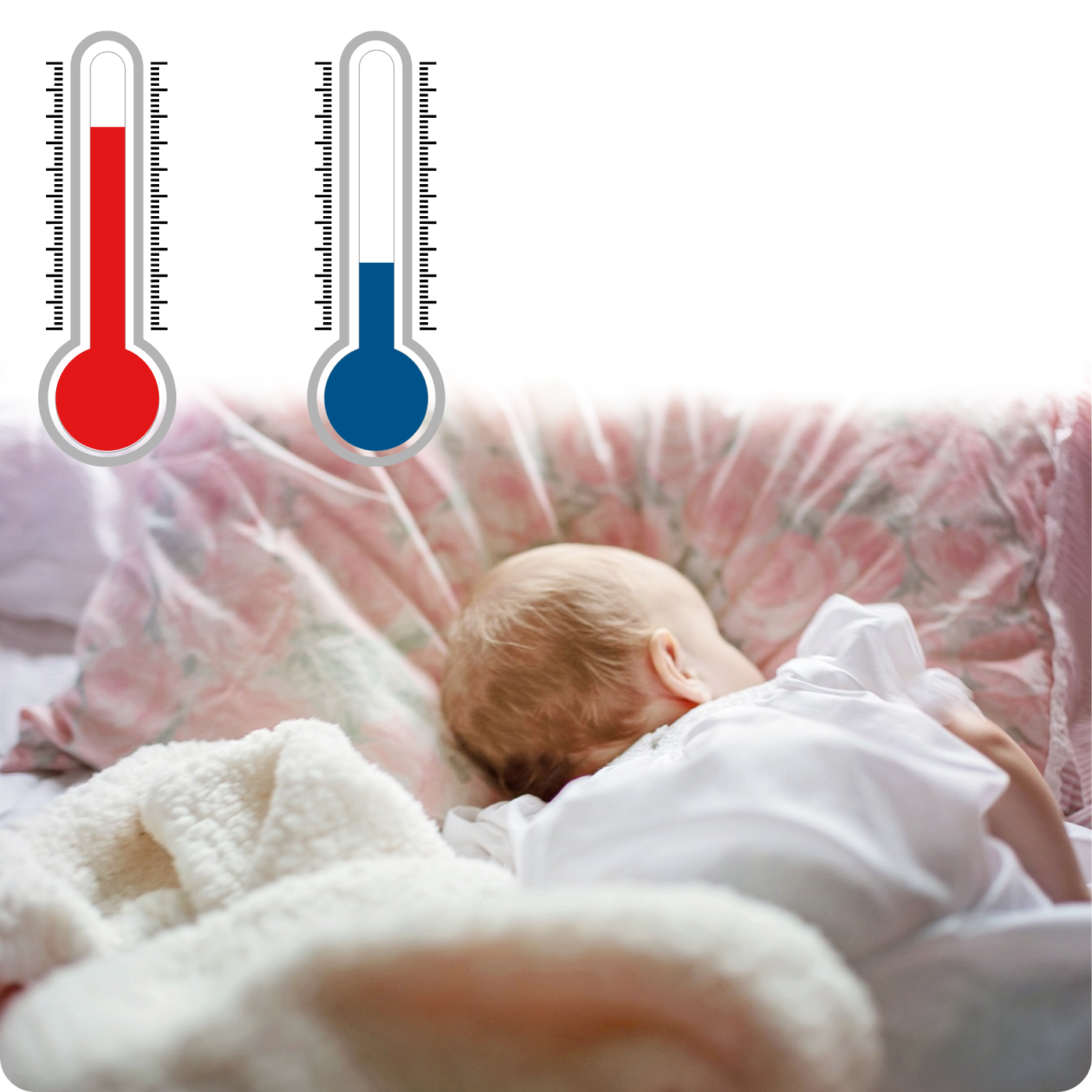 202494ef78c5055aa54d72dbb36a3de1