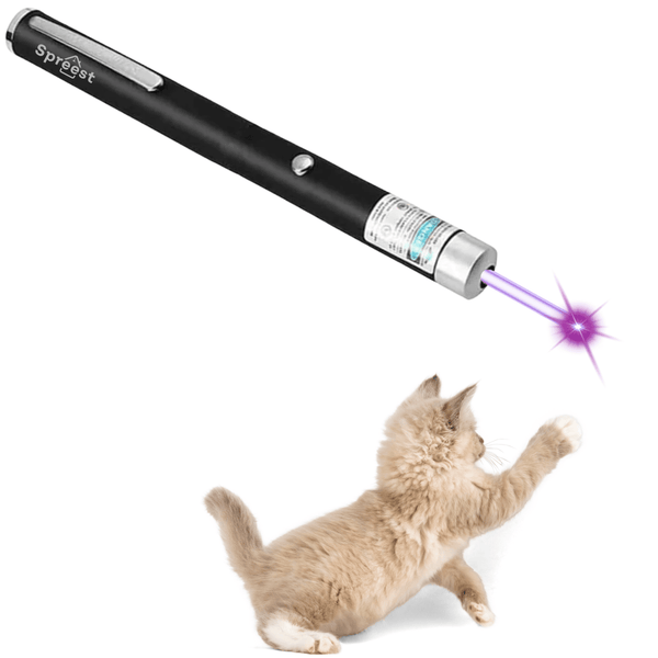 Wskaźnik laserowy fioletowy PT0008-2