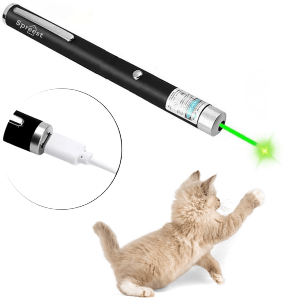 Wskaźnik laserowy 201 Zielony