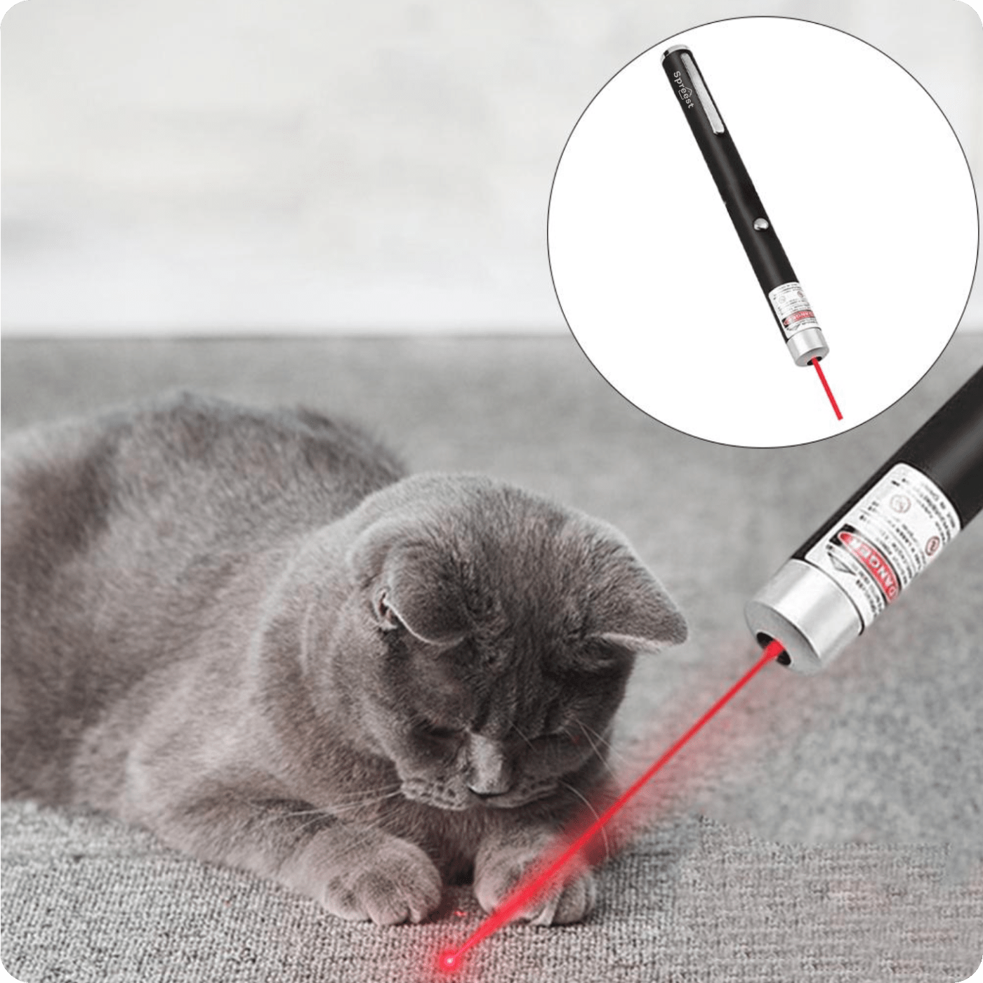 f4fe5e062c4637dff8e2125b978b7492