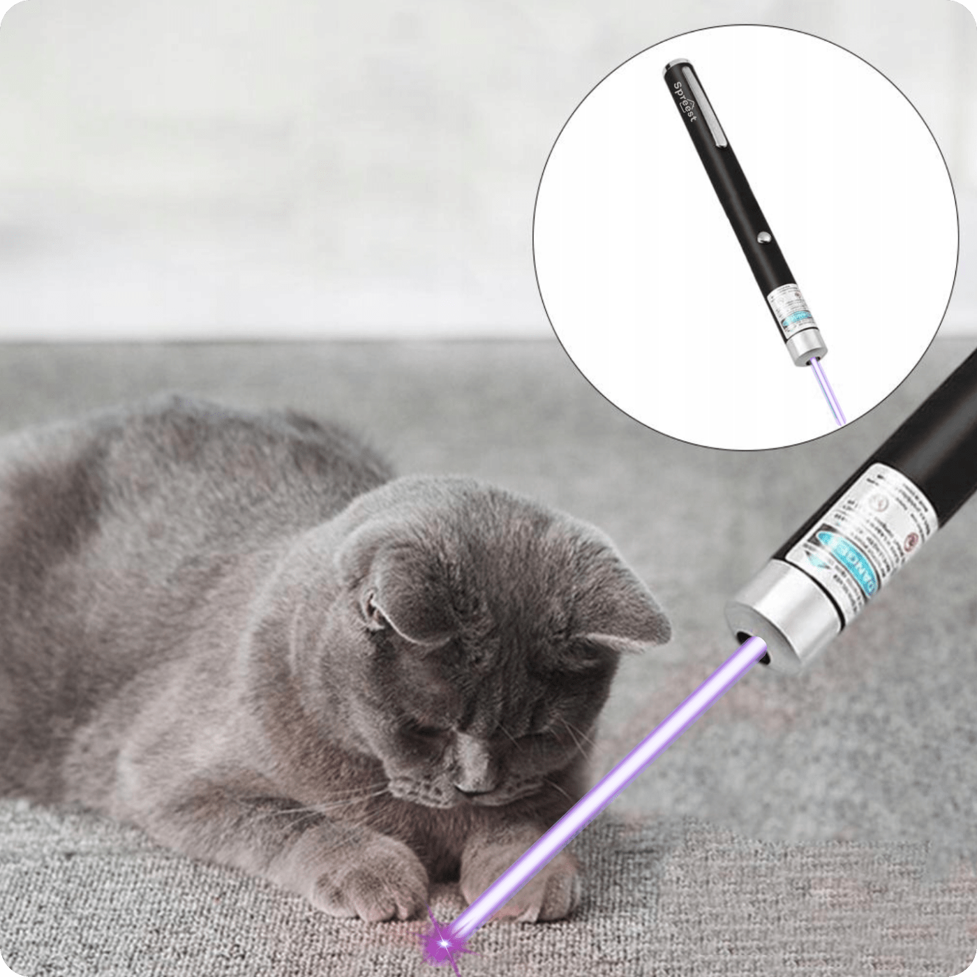 9cdc8f651a562397537e62d271a5dd7a