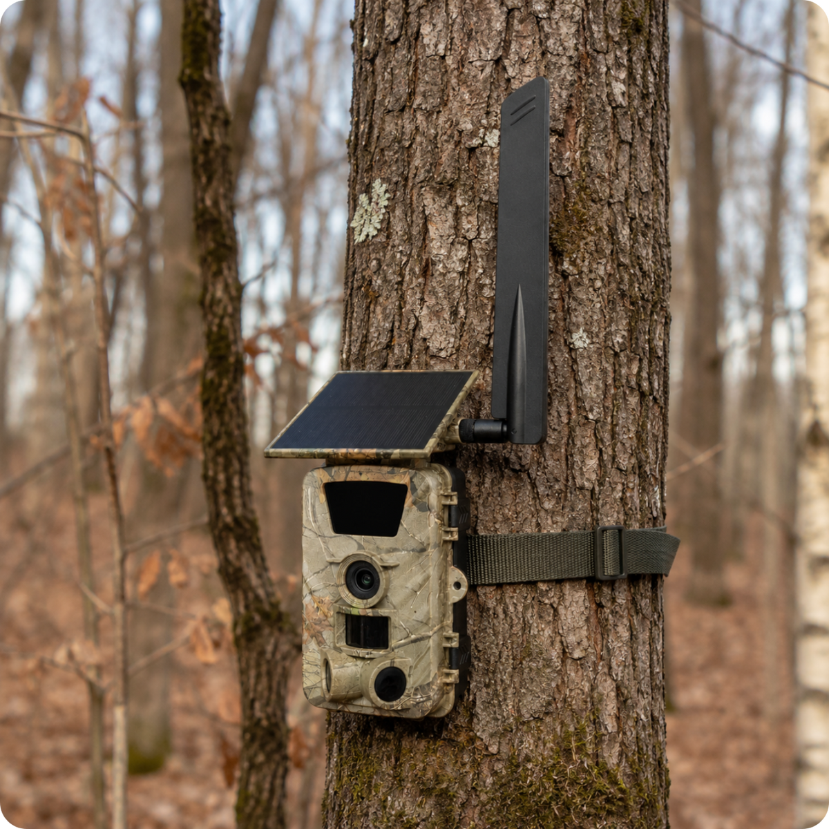 Fotopułapka kamera leśna PR903G 5K TrailCamGo