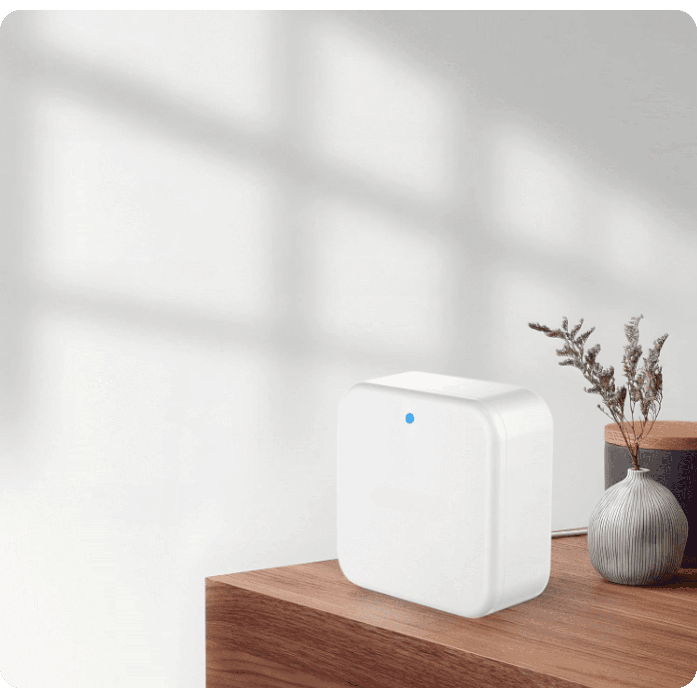 01ccdd908e245629f29db1cb7e78692d