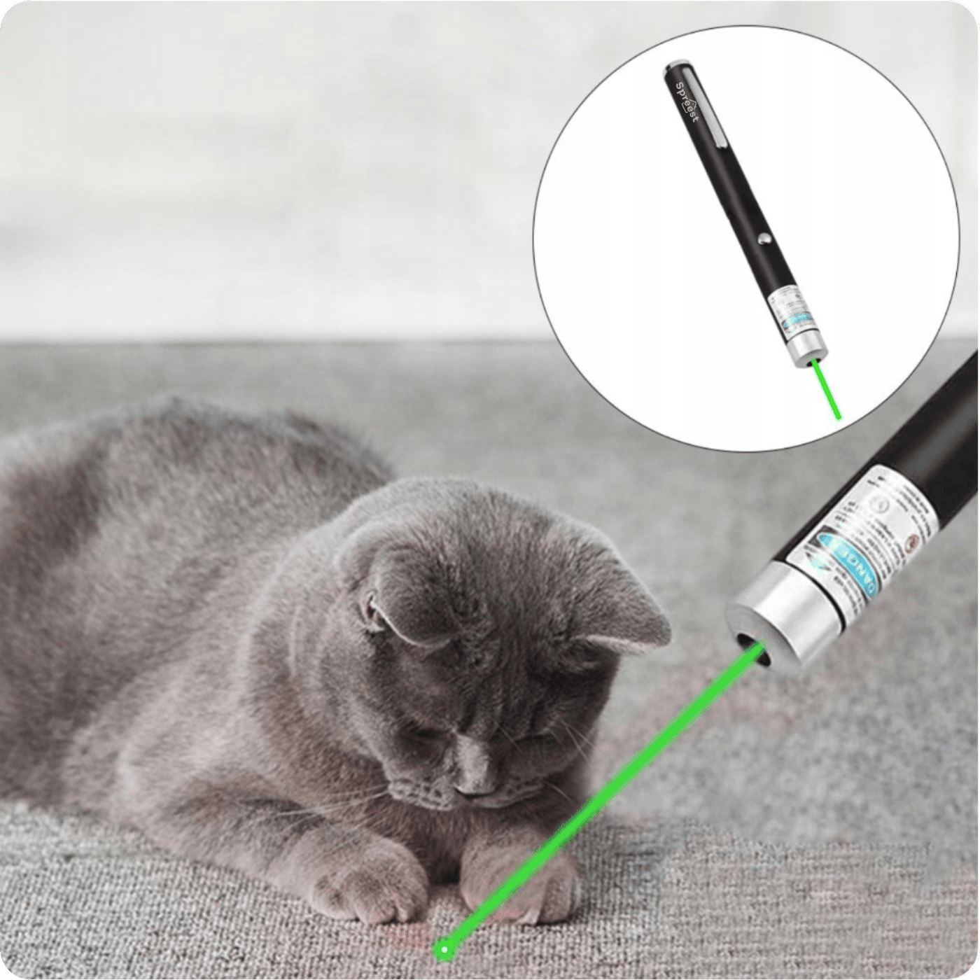 1c9dc9ffe5eaf33e924a8d9e809cd3e6