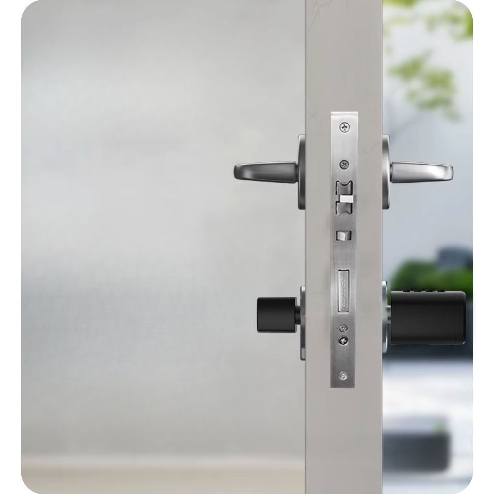 Electronic lock cylinder V1 TTLock Black 
