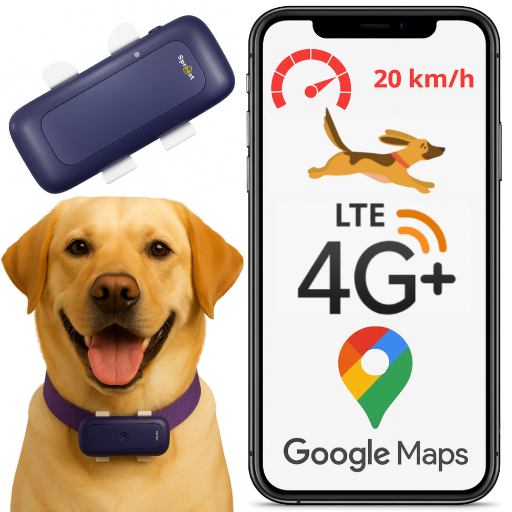 Lokalizator GPS S26L 4G Purple