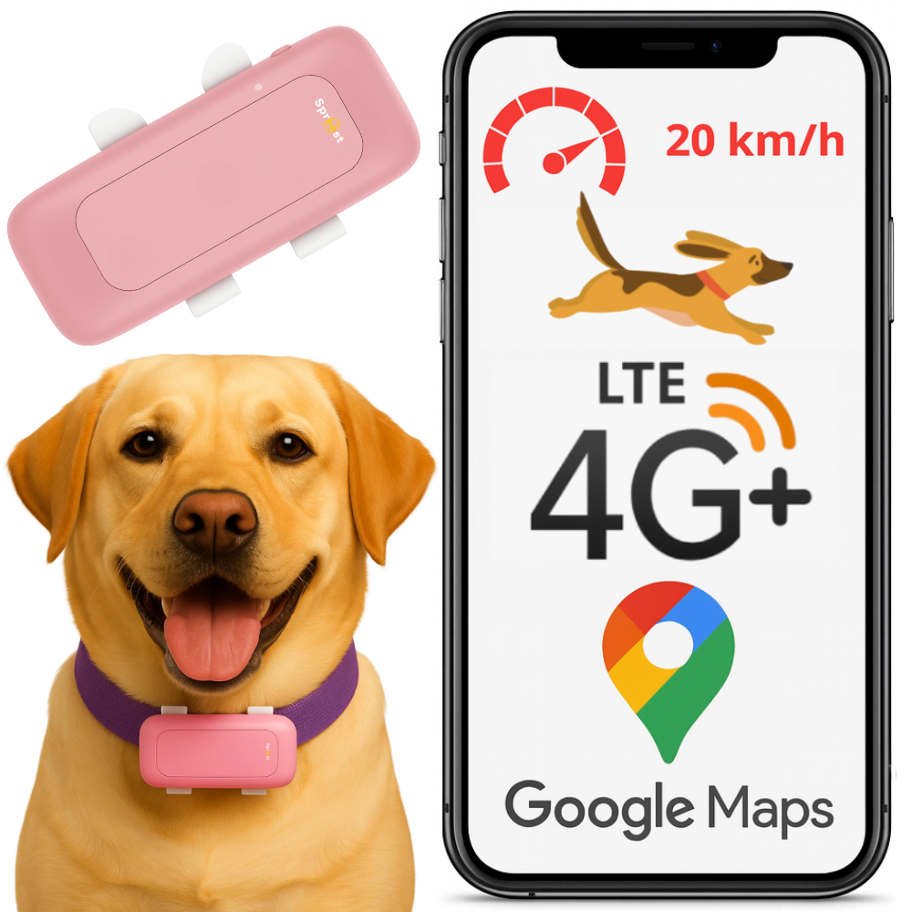 Lokalizator GPS S26L 4G Pink