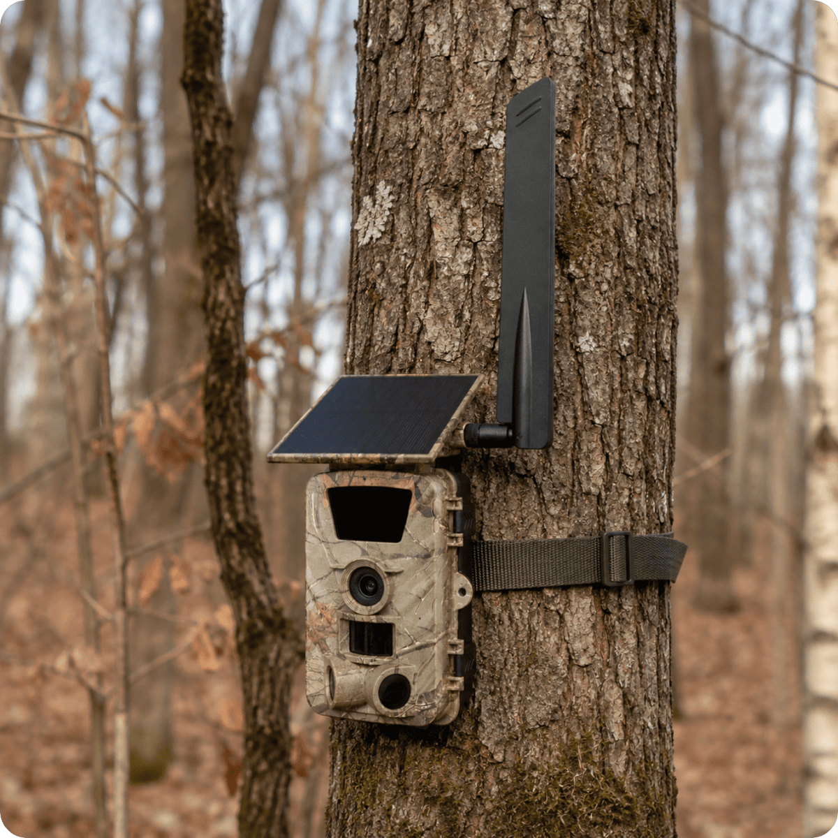 Fotopułapka kamera leśna PR903G 5K TrailCamGo