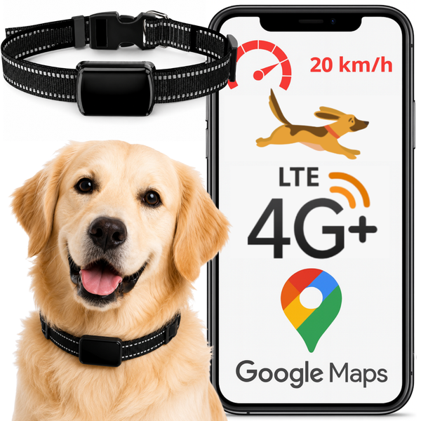 Lokalizator GPS dla psa kota M10 4G QXGPS